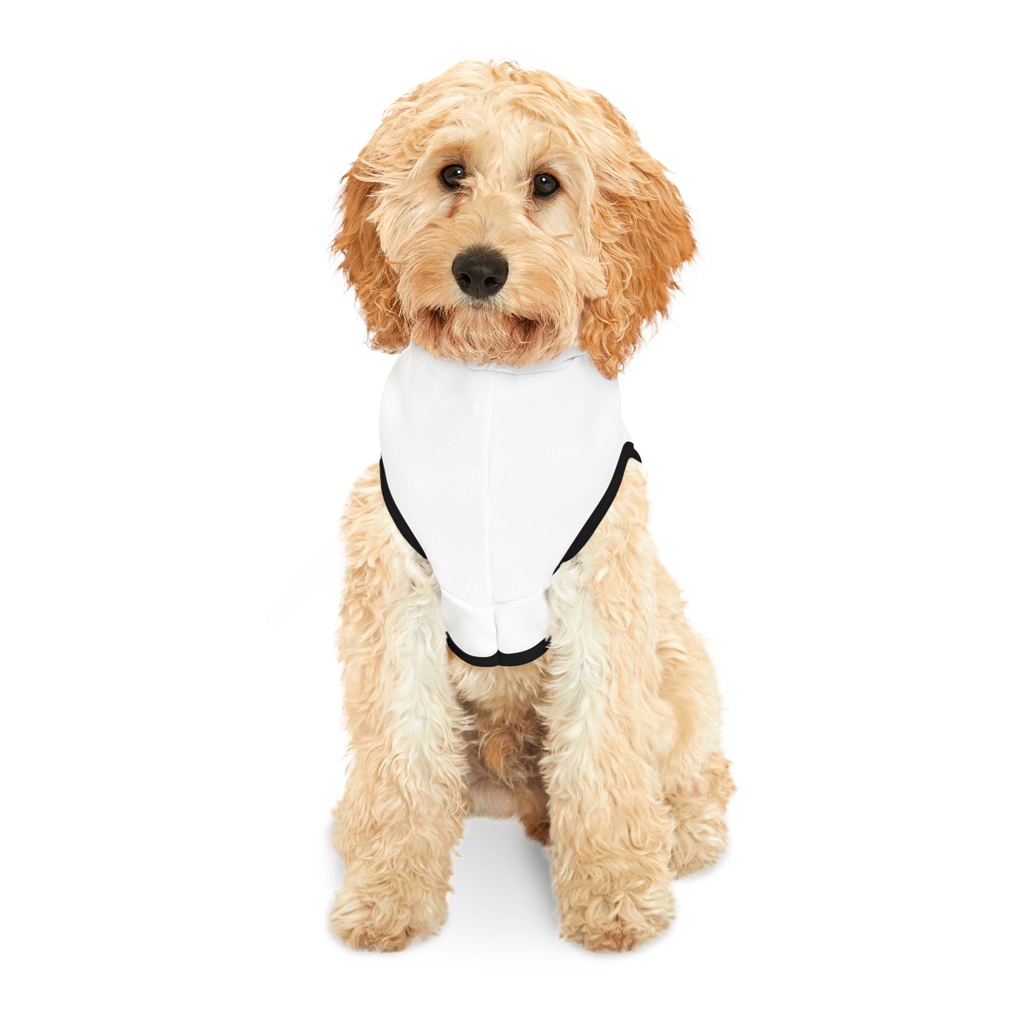 Cuddle Crew Pet Hoodie - Cozy Dog Cat Apparel for Pet Lovers, Animal Lover Gift, Cute Pet Hoodie, Winter Wear, Pet Birthday Gift