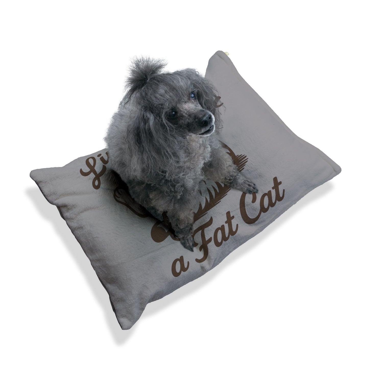 Living Like a Fat Cat Pet Bed - Cozy Cat Bed, Cute Pet Gift, Luxury Dog Bed, Relaxing Pet Cushion, Feline Fun