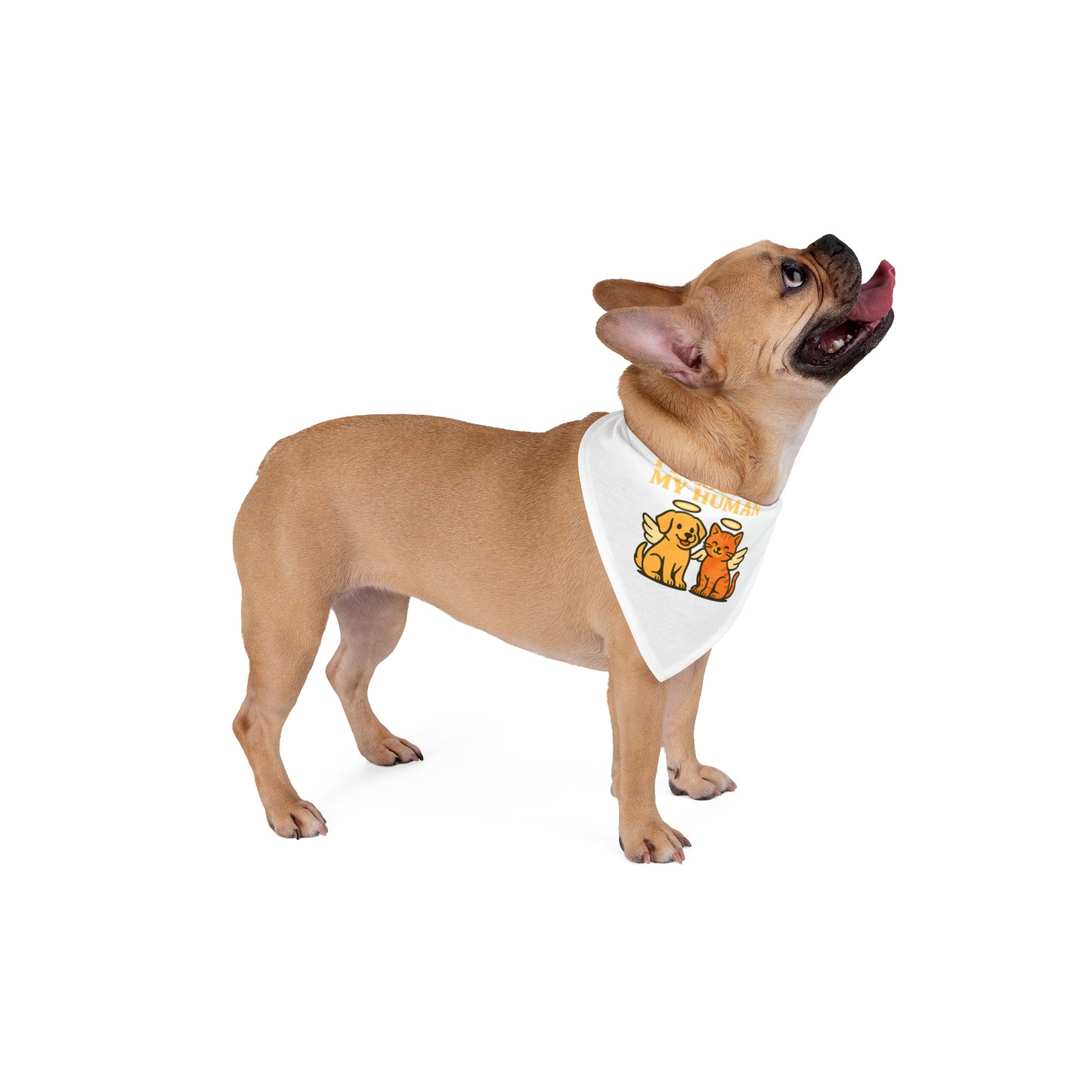 Adorable Pet Bandana for Rescue Pets, Perfect for Dog and Cat Lovers, Unique Gift for Pet Owners, Cute Pet Accessory, Everyday Wear