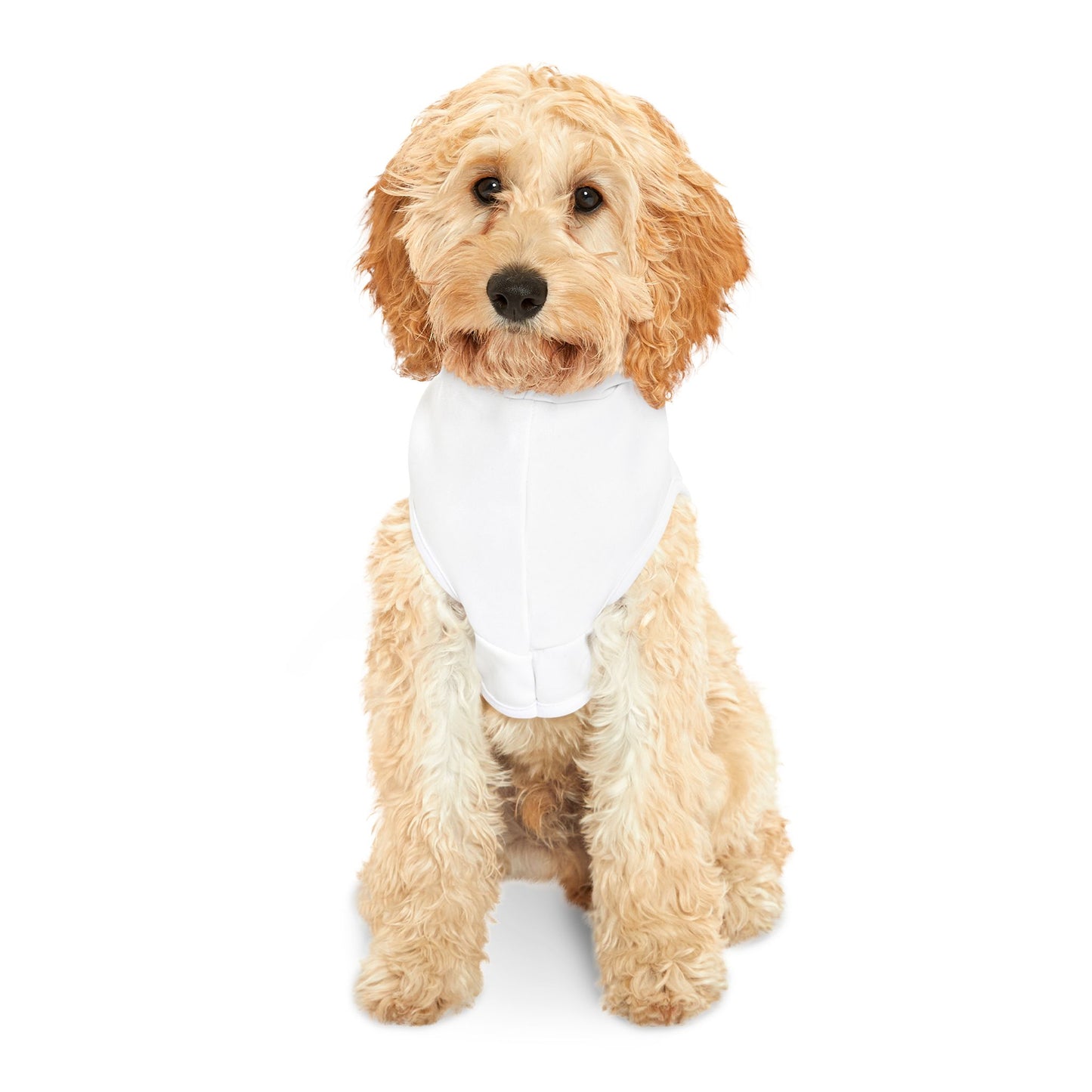 Cuddle Crew Pet Hoodie - Cozy Dog Cat Apparel for Pet Lovers, Animal Lover Gift, Cute Pet Hoodie, Winter Wear, Pet Birthday Gift
