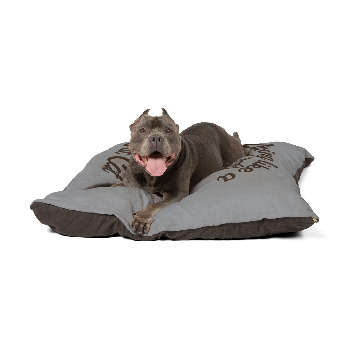 Living Like a Fat Cat Pet Bed - Cozy Cat Bed, Cute Pet Gift, Luxury Dog Bed, Relaxing Pet Cushion, Feline Fun
